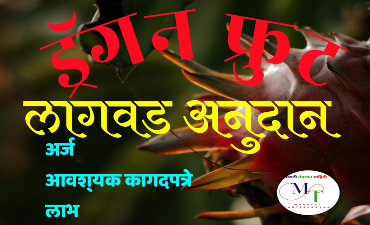 ड्रॅगन फ्रुट
