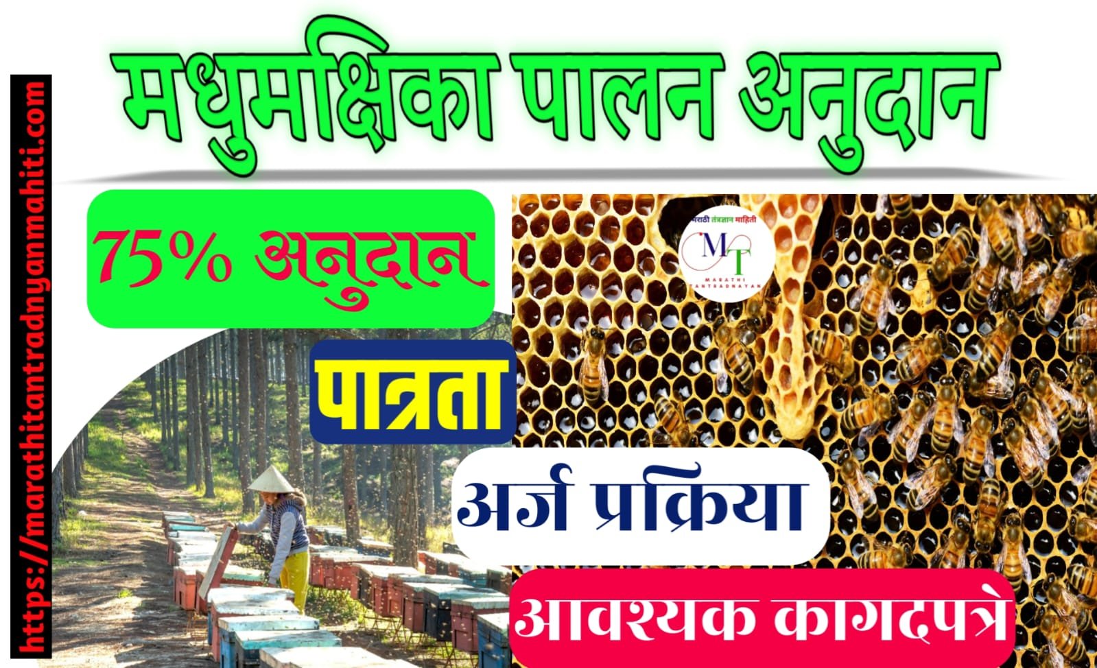 WhatsApp Image 2024 06 30 at 10.34.41 AM