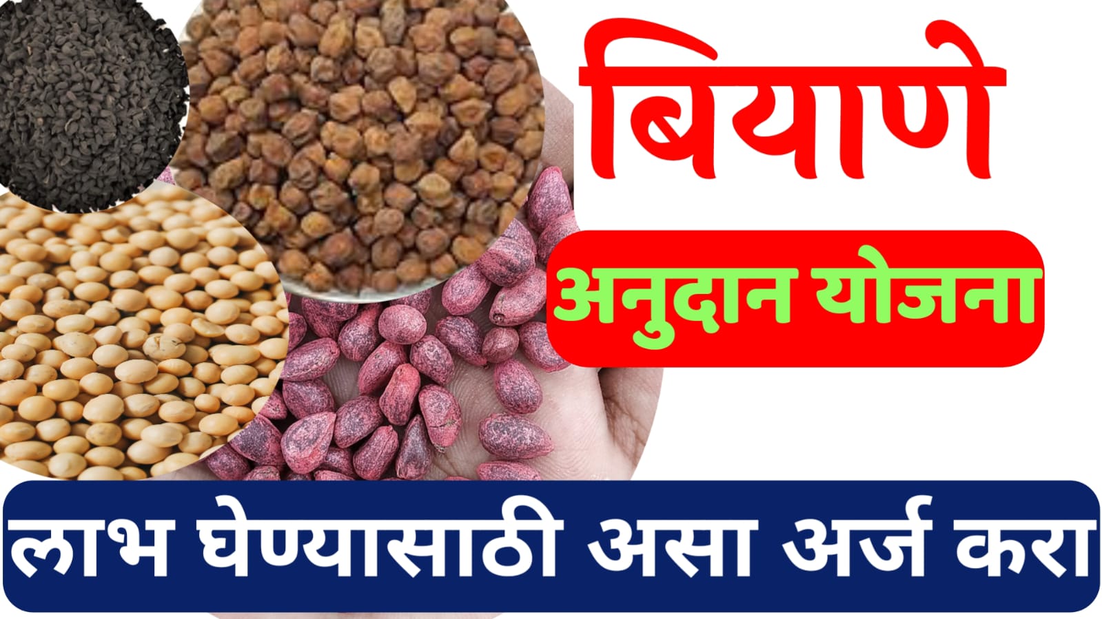 बियाणे अनुदान योजना mahadbt biyane anudan yojana