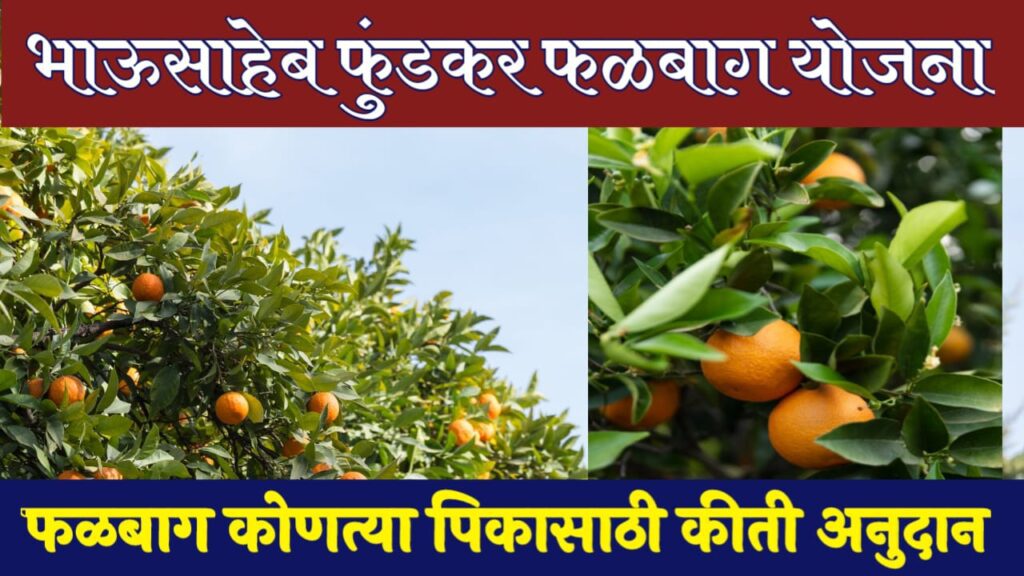 Falbag Lagwad anudan