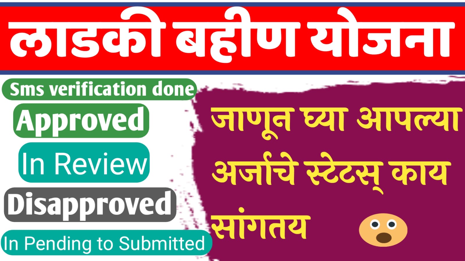 ladki bahin yojana status detail