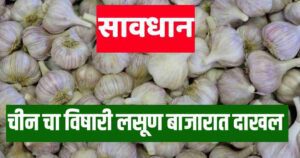 जीवघेणा विषारी लसून