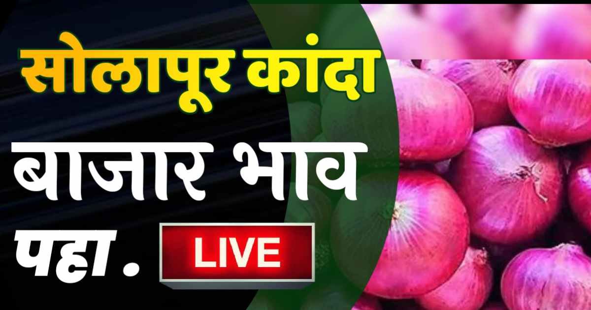 Solapur Kanda Bajarbhav 2024