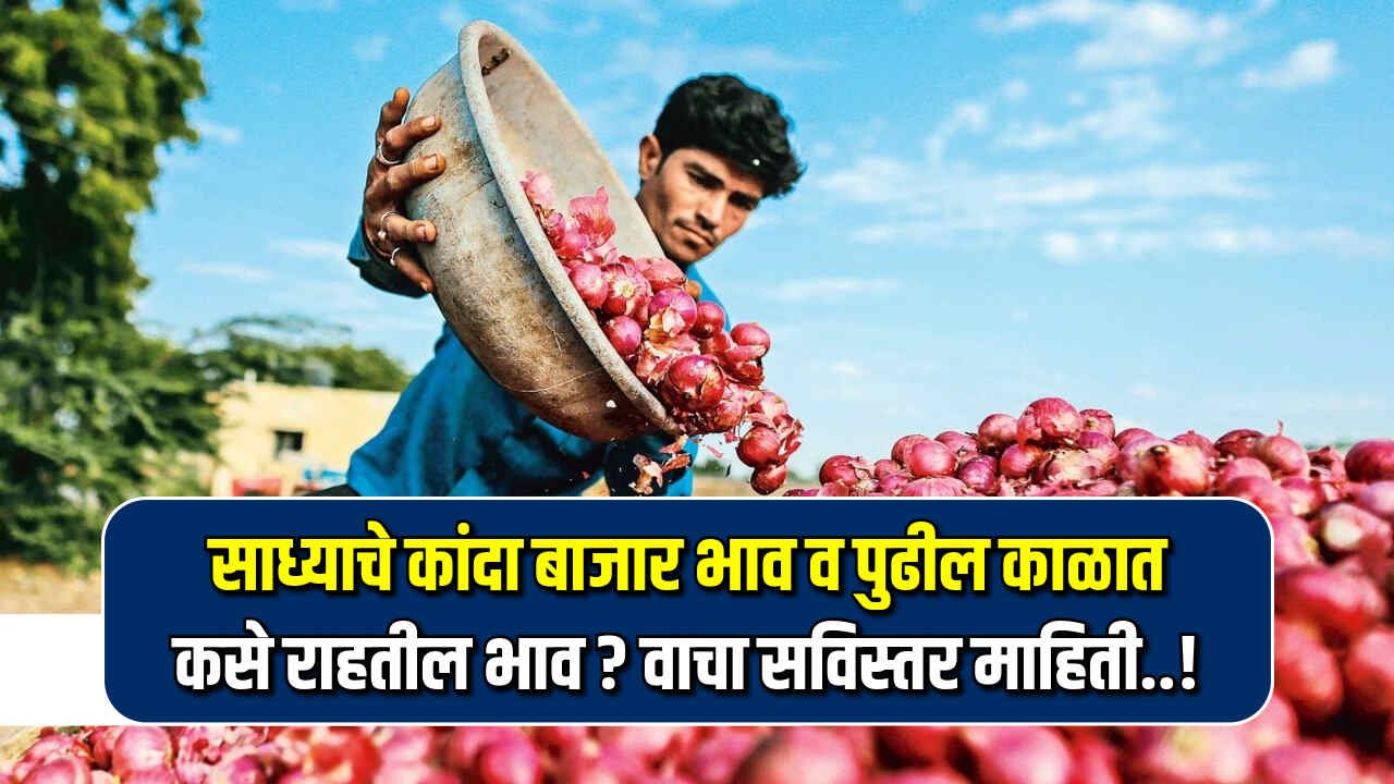 Kanda Bajarbhav 2024