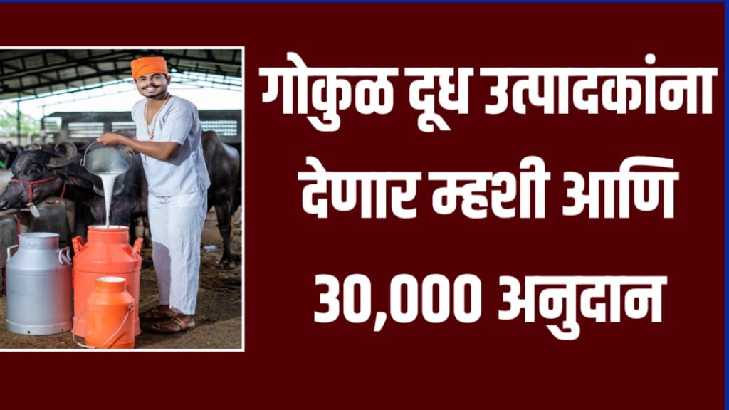 milk subsidy gokul