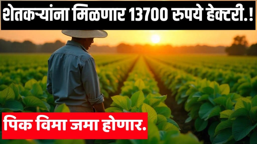 Crop Insurance