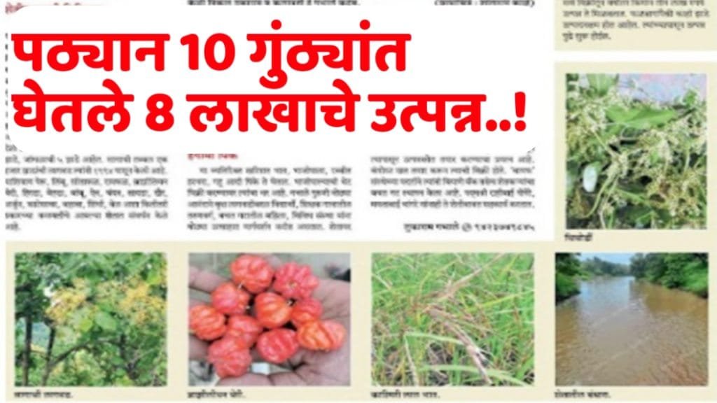 farmer success story