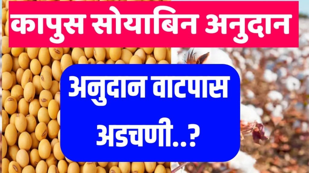 kapus soyabean anudan