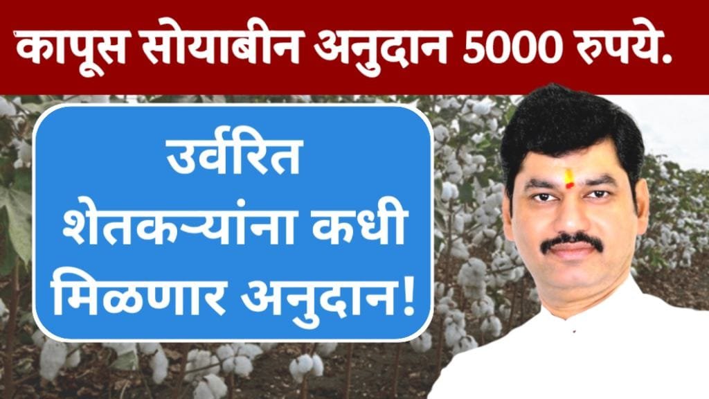 cotton soybean subsidy