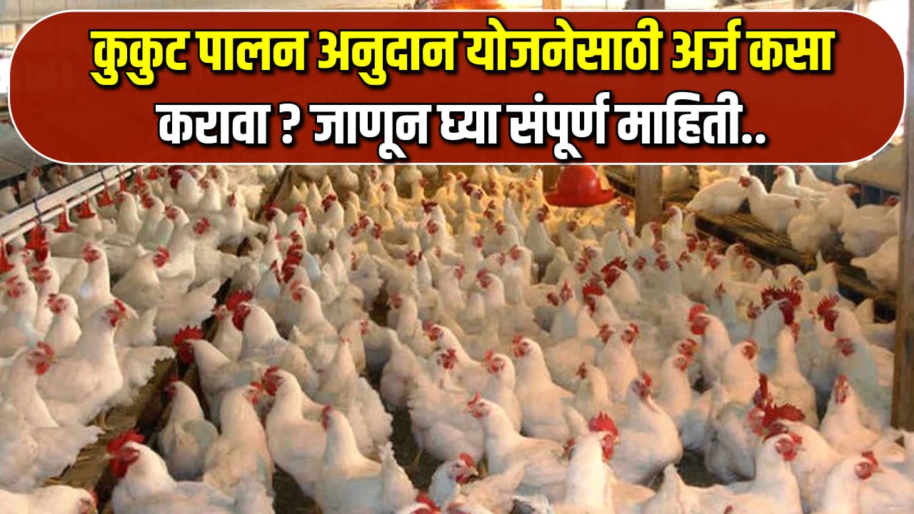 Poultry Farm Loan Yojana