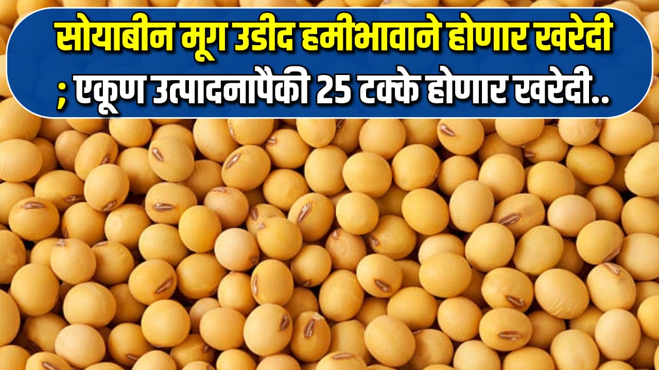Soyabean MSP Kharedi 2024