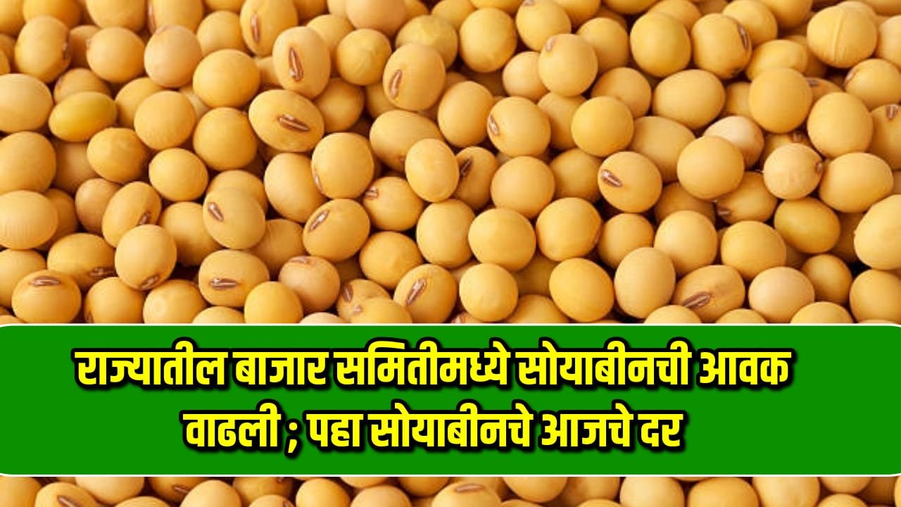 Soyabean Bajarbhav 2024