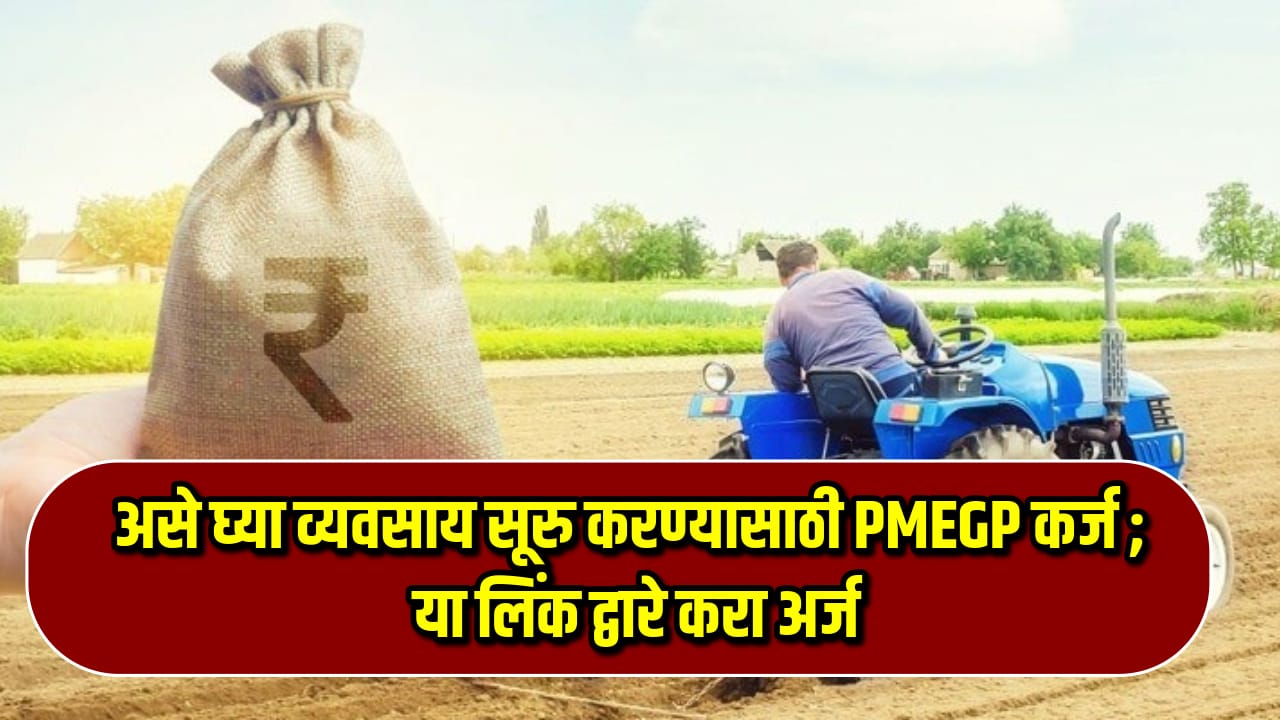 PMEGP Loan Yojana 2024