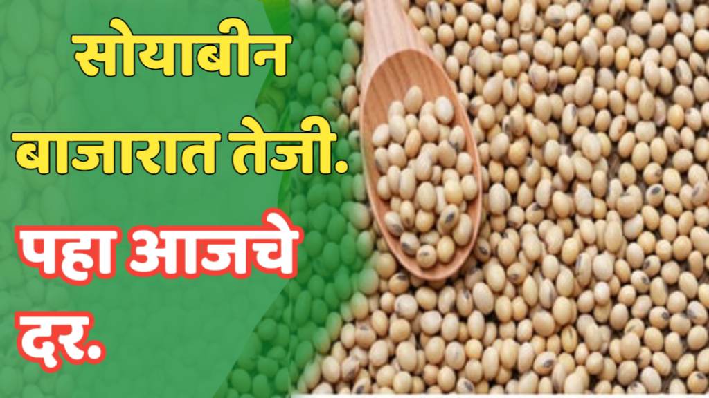 soybean bajarbhav