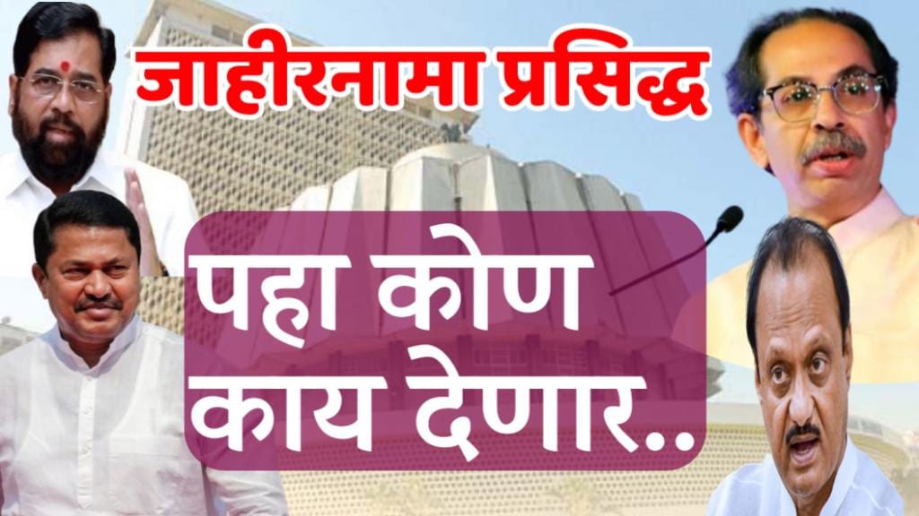 निवडणूक जाहीरनामा