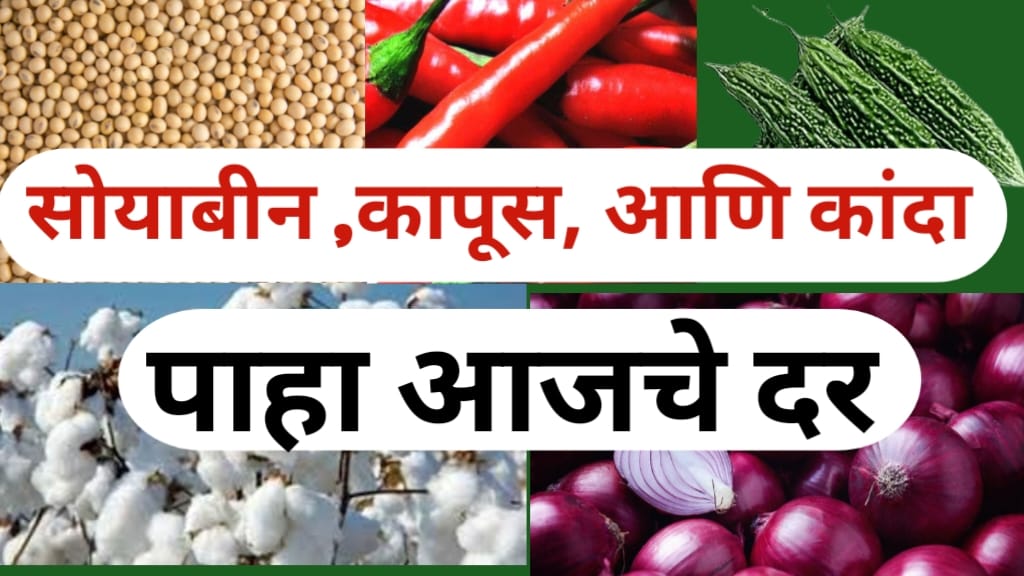 Soyabean Rate