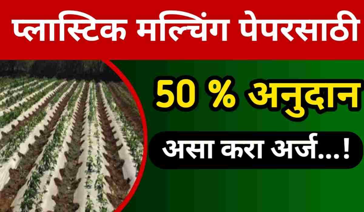 Mulching Paper Scheme