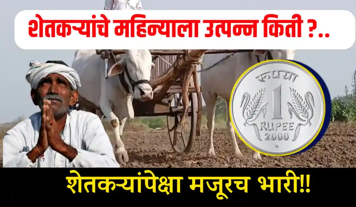 Farmer income