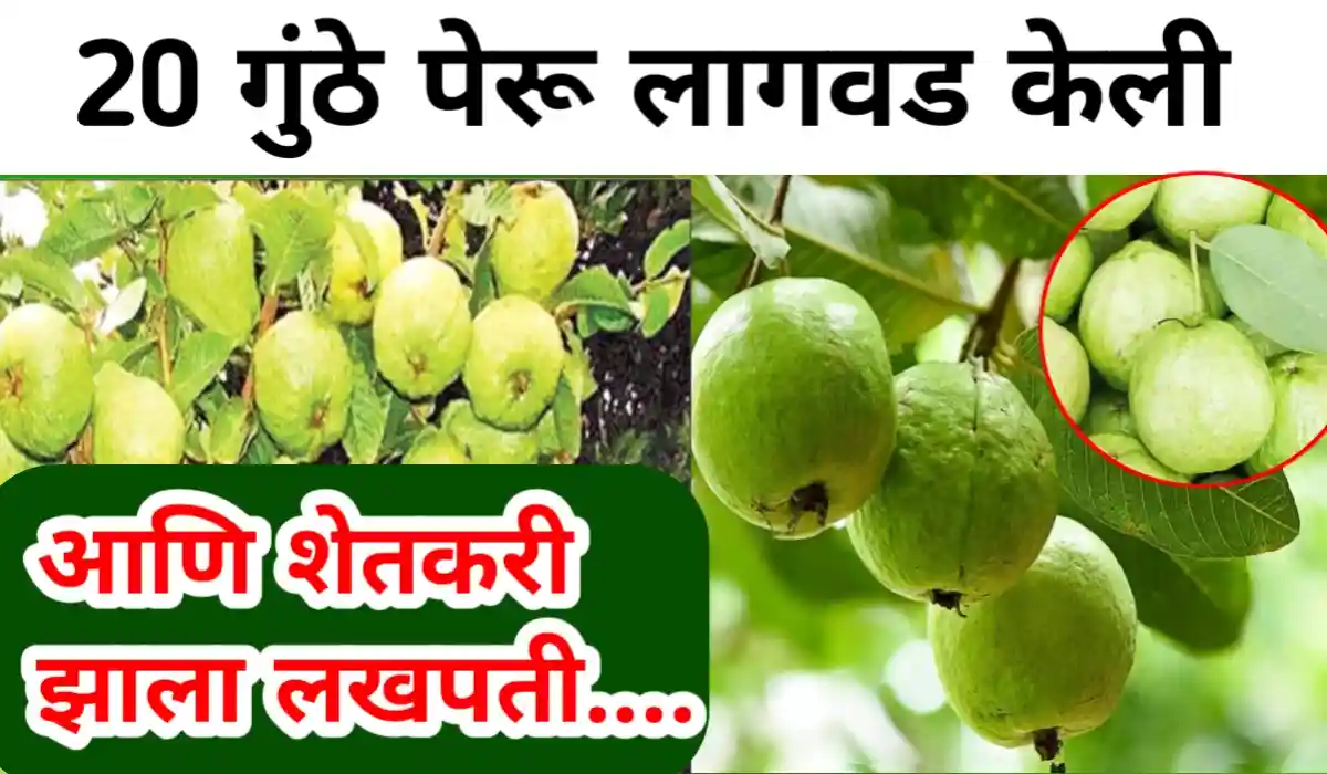 Farmer success story