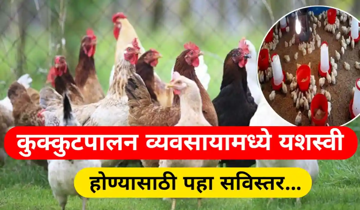poultry farming