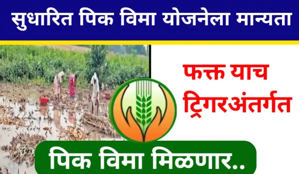 New Crop Insurance