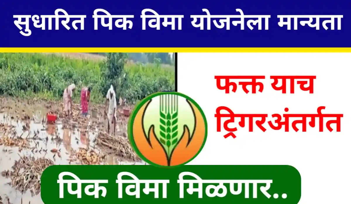 New Crop Insurance