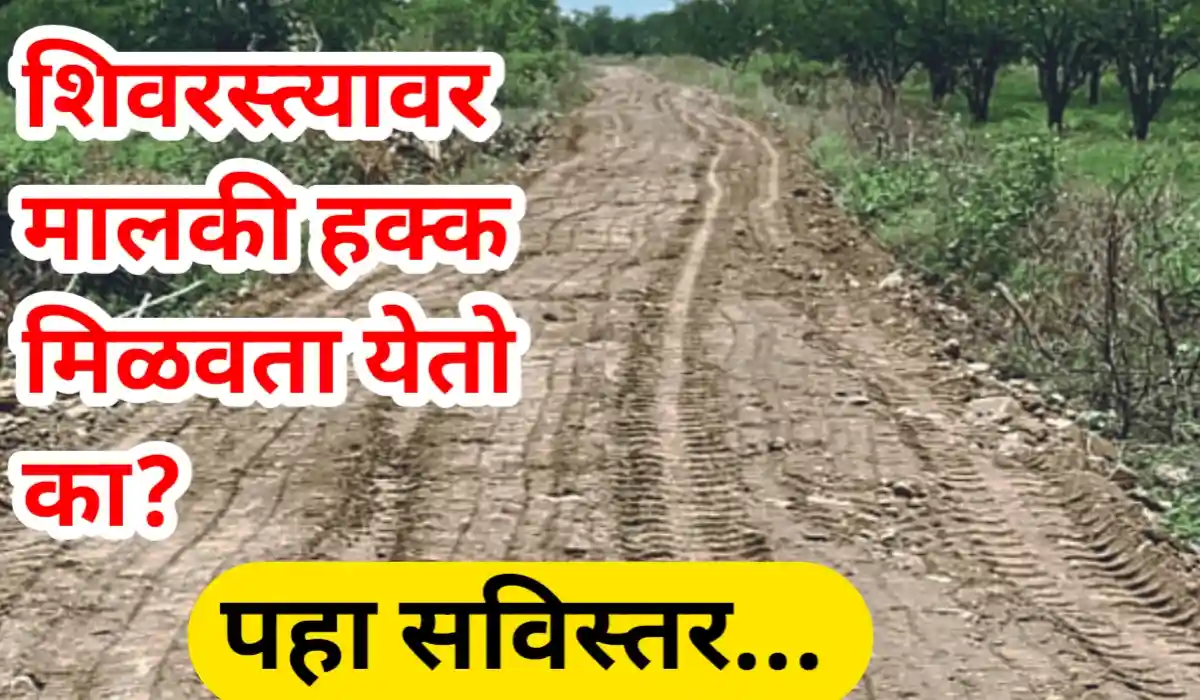 Public Road Ownership