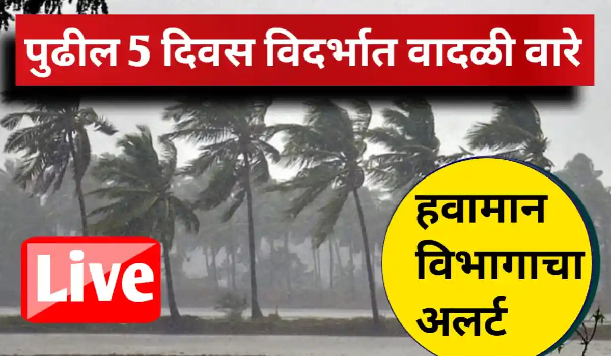 Vidarbha Weather
