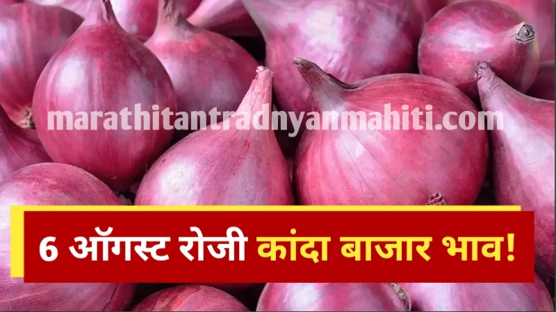 Onion Rate Today