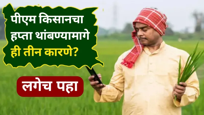 PM Kisan