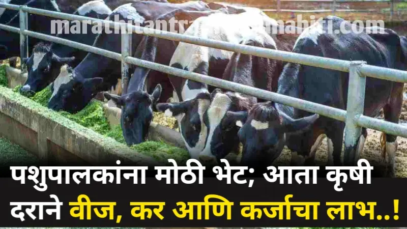 Livestock Farming