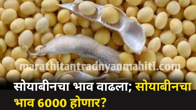 Soyabean Rate