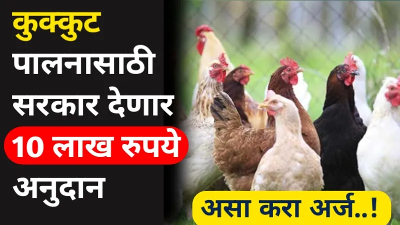Kukut Palan Yojana Apply