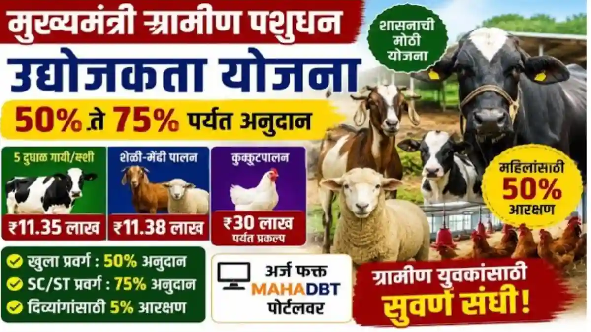 goat sheep farming