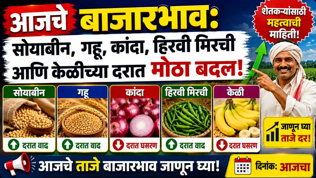 bajar bhav