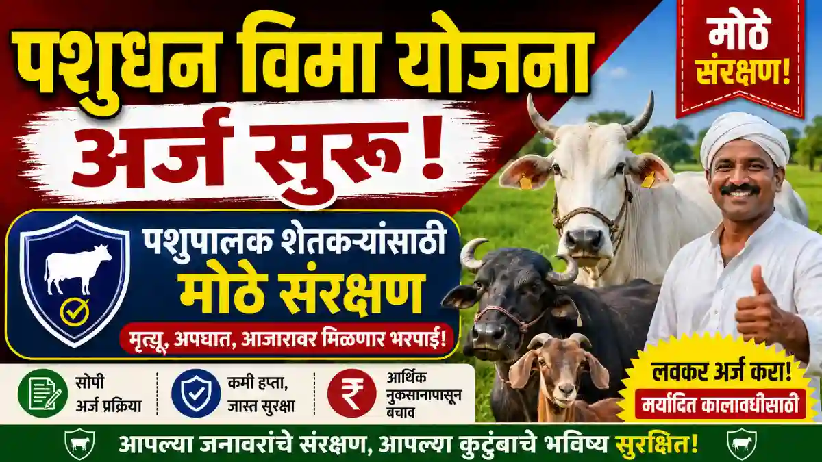 LiveStock Insurance Scheme