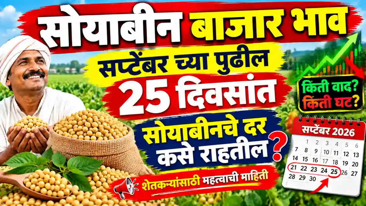 soyabean market