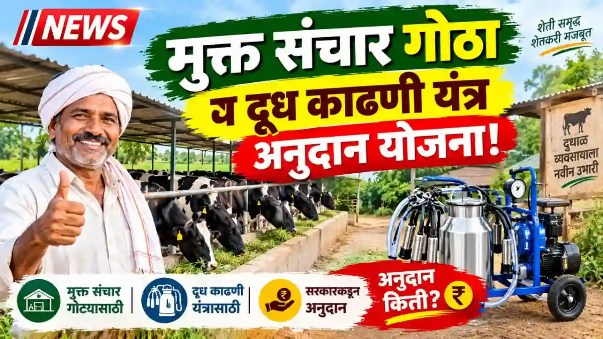 Jilha Parishad Scheme