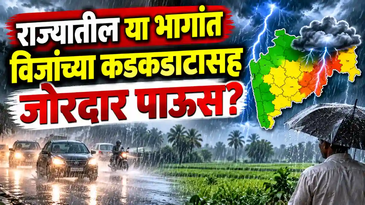 Rain Alert