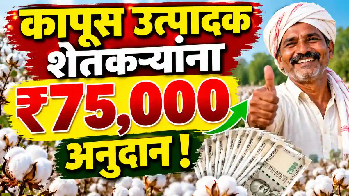 Kapas Kranti Yojana